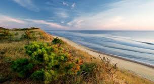 There are also 14 historic. Cape Cod National Seashore Visit The Usa