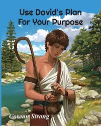 Use David's Plan For Your Purpose (Paperback)