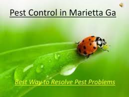 Termites can infest a home for years before they're discovered, and in that time they can do thousands of dollars of damage to a at north fulton pest solutions, we use the best termite control products in the industry and also offer both lifetime renewable guarantees and. Ppt Pest Control In Marietta Ga Powerpoint Presentation Free Download Id 7418721