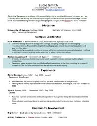 cv template free professional resume