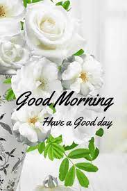 Good morning gif images with flowers hd download. Best Good Morning Hd Images Wishes Pictures And Greetings Good Morning Flowers Good Morning Flowers Pictures Good Morning Images