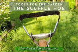1500 x 964 · jpeg. Scuffle Hoe Stirrup Hoe Hula Hoe Growing The Home Garden