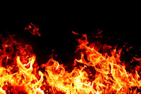 Manage your video collection and share your thoughts. æ ƒæœ¨çœŒåˆé€²å‡º è'™å¤ã‚¿ãƒ³ãƒ¡ãƒ³ä¸­æœ¬ ãŒå®‡éƒ½å®®ã¸æ–°åº—èˆ—ã‚'ã‚ªãƒ¼ãƒ—ãƒ³ åº—èˆ—æ•°ã¯25åº—èˆ—ã«