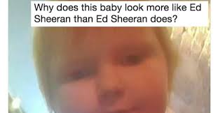 50 People Who Captioned Their Pictures Perfectly In 2017