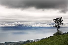 如畫 scenic clifton nature
