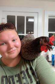 Introduction of new chicken owner