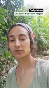 Bad Monday at SloCo! We arrive to HQ to discover half of our tree nursery  was destroyed! , We're still assessing the damage, but fortunately, the  neighbor will take responsibility and pay for the ...