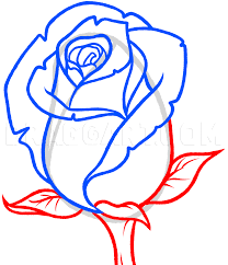 The last step on how to draw a simple rose is color the flower red and green for the leaves and stem. How To Draw A Rose Bud Rose Bud Step By Step Drawing Guide By Dawn Dragoart Com