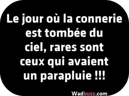 Le Jour Ou La Connerie Est Tombee Du Ciel Citations Sur Les Mots Mots Sympas Proverbes Et Citations
