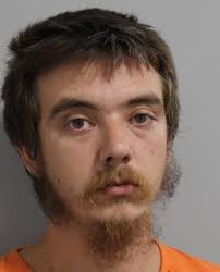 Lakeland Man Arrested for Felony Animal Cruelty