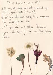Aesthetic Flower Quotes Tumblr Poetic Words Quotes Artsy Writing Self Love Empowerment Tumblr Dogtrainingobedienceschool Com Find over 100+ of the best free dried flower images. aesthetic flower quotes tumblr poetic