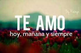 Te Amo Hoy Manana Y Siempre Frases De Te Amo Imagenes De Te Amo Te Amo Mi Amor