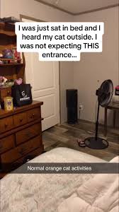 Proof that Cats Are Liquid