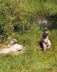 Настя муравьева проживающая в городе киев, украина. 9jtzvy9u5pnnbm