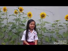 Lagu upin ipin offline lengkap terbaru terpopuler 2021 mp3 terpopuler dj tik tok viral terbaru. Bunga Matahari Videos Bunga Matahari Clips