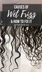 The problem with frizzy hair is that it's dry. Causes Of Wet Frizz Webbing How To Fix It Gena Marie