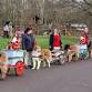 Christmas Carting event image