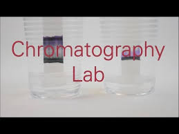 Chromatography Lab Activity Teachengineering
