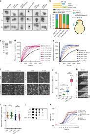Carefully review the (m)sds below to see if it's the version you're looking for. Polarisome Scaffolder Spa2 Mediated Macromolecular Condensation Of Aip5 For Actin Polymerization Nature Communications