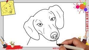 Wie zeichnet man einen hund. Wie Zeichnet Man Einen Hund Schritt Fur Schritt Fur Anfanger Hund Zeichnen Lernen Youtube