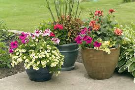 This is a thirsty container, so you'll need to make sure it stays well watered. Gallery For Outdoor Flower Pot Arrangements Flower Pots Outdoor Patio Flower Pots Patio Flowers
