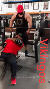 vikingos gym