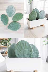The plant comprises succulent stems, thickened, elliptical green pads that are arranged in an overlapping manner. How To Propagate Prickly Pear Cactus Using Pads Propagating Cactus Prickly Pear Cactus Prickly Pear
