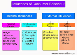 Mba Notes Factors Influencing Consumer Behaviour E Notes Mba
