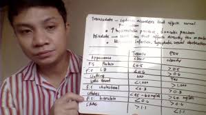 LESSON 8 SEROUS FLUIDS