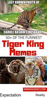 'tiger king' memes are getting people through quarantine. A Collection Of The Very Best Netflix S Tiger King Memes