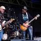 Mess’O’Blues Live @ The Lamb  Bognor event image