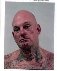 Fremont County deputy injured by pit bulls, theft suspect arrested  following traffic stop near Hamburg