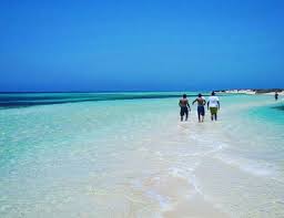 These Photos From Beaches In Saudi Arabia Look A Lot Like Paradise Beach Photo Saudi Arabia