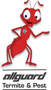 Being a family owned and operated company with over 21 years of experience we bring our professional working values with unmatched customer service. Best Pest Control Ventura Ca Free Termite Inspection Eco Friendly