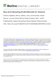 Image result for Brachycorythis congoensis