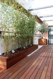 Terrace Decoration And Surroundings Green And Furniture For Balconies Terrasa Tropische Archite Garden Privacy Fence Planters Backyard Landscaping