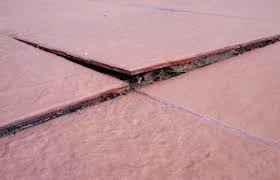 We did not find results for: Rosie On The House Why Do My Tiles Make A Popping Sound Home Garden Tucson Com