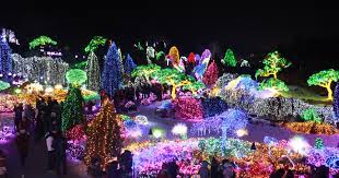 The Garden Of Morning Calm Gapyeong South Korea Garden Of Lights Festival Lights Light Fest
