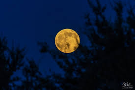 Jul 23, 2021 · the buck moon is the name for the first full moon that we see in july. Fhf2qwblql2t7m
