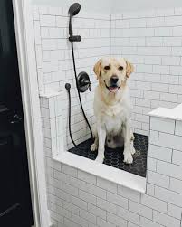 While We Are Doing An Outdoor Shower When I Saw This Awesome Pet Shower From Remingtonranchfarmhouse I Was Very Tem Dog Washing Station Dog Shower Dog Rooms