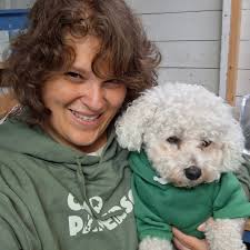 Wanted adult bichon for loving home only animal, near vermont