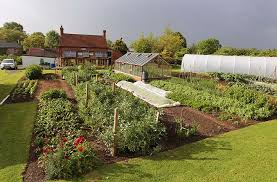 This post contains affiliate links. No Dig Gardening Charles Dowding Joe Gardener