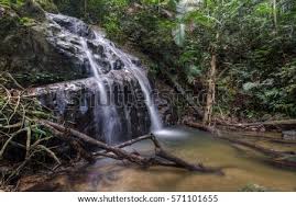 Gunung pulai (mount pulai) noktasına 0,3 km mesafede. Shutterstock Puzzlepix