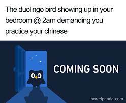 What is the duolingo meme craze. 30 Hilarious Duolingo Memes Bored Panda