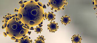 Includes public health advice, signs and symptoms, current cases. A Novel Coronavirus Is Breaking Loose Charles River Laboratories