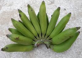 Pisang merupakan buah yang memiliki rasa yang lembut dan enak. 23 Jenis Pisang Yang Baik Dikonsumsi Beserta Manfaatnya Perlu Diketahui