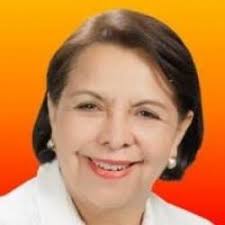 ２０１５年中間選挙立候補者