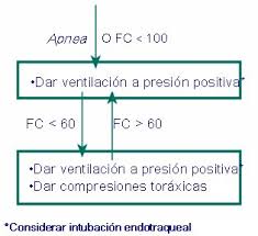 Emergencias Neonatales I Asfixia Reanimacion Medwave