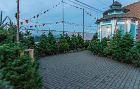 Its official name is christmas tree shops (plural!). Holidays Peak Weekend For West Seattle Christmas Tree Shopping West Seattle Blog
