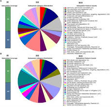If you ran the application right now and clicked on one of the edit buttons, you would see that the eventargument property of the view model. Frontiers Whole Genome Sequencing Based Comparison Of Food Isolates Of Cronobacter Sakazakii Microbiology